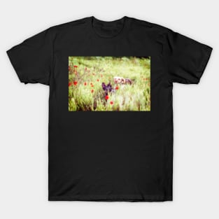 Poppy Adventure Spinone T-Shirt